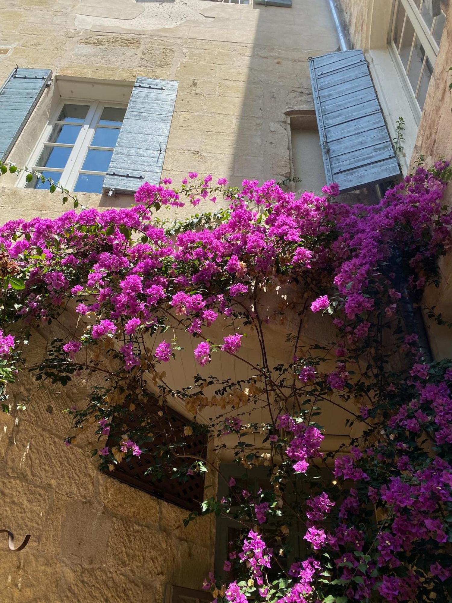 Du Musée Hotel 3*